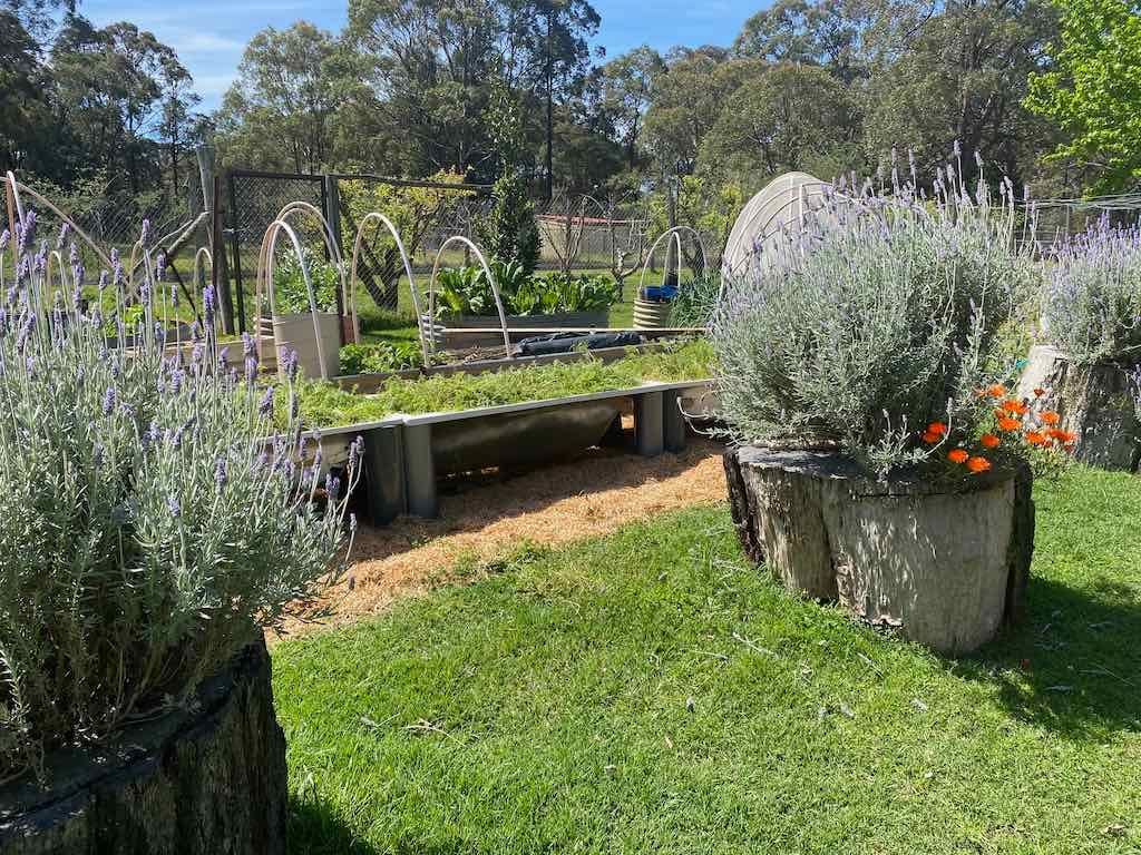 Dairy Road Alpaca Farm Public Day Tour 24th September 2025 Image -68d46fd78a34c
