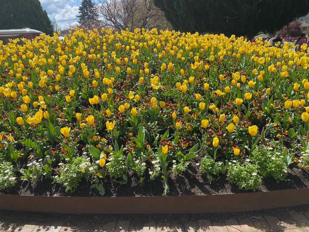 Corbett Gardens : 2025 Garden Extravaganza To Image -68e0b41a58f05