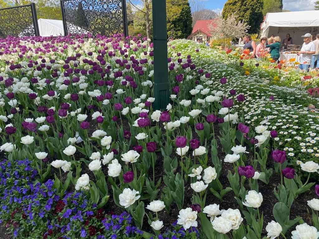Corbett Gardens : 2025 Garden Extravaganza To Image -68e0b41aa3354
