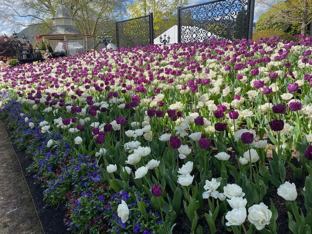 Corbett Gardens : 2025 Garden Extravaganza To Image -68e0b41aecb1a