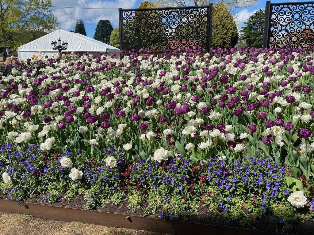 Corbett Gardens : 2025 Garden Extravaganza To Image -68e0b41b4d1ad