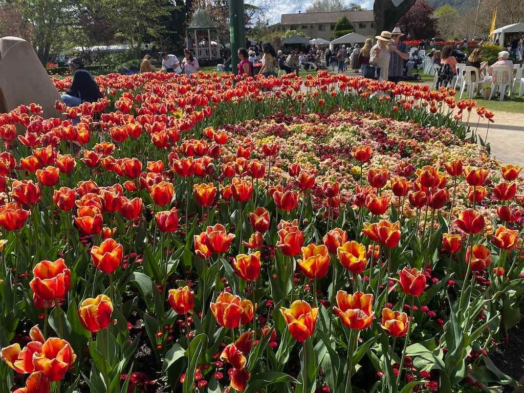Corbett Gardens : 2025 Garden Extravaganza To Image -68e0b41b9d596