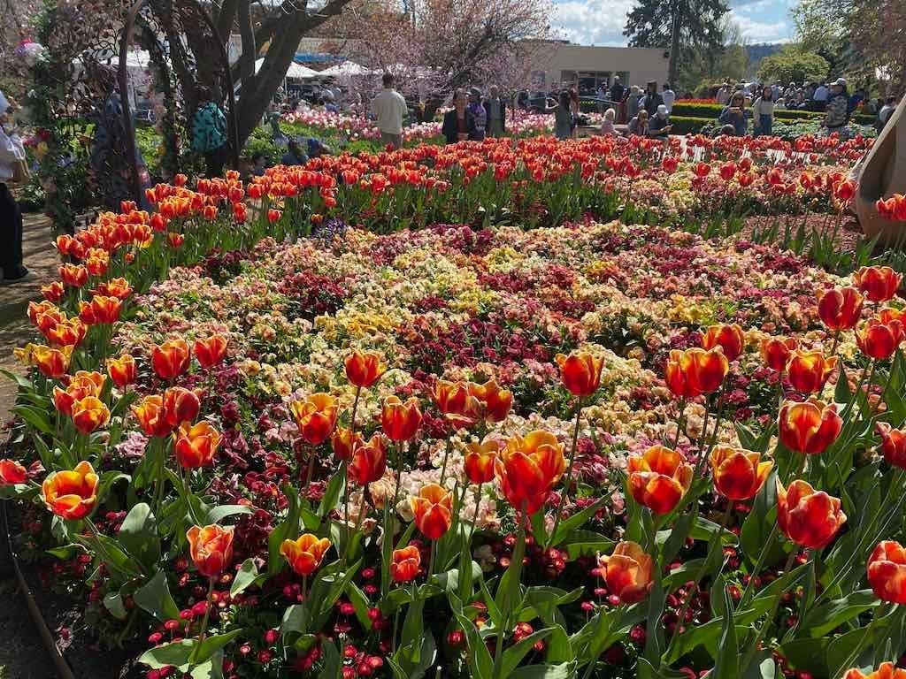 Corbett Gardens : 2025 Garden Extravaganza To Image -68e0b41be2fd6