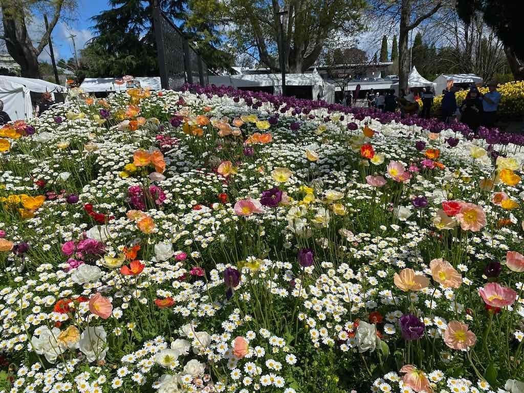 Corbett Gardens : 2025 Garden Extravaganza To Image -68e0b41c3f594