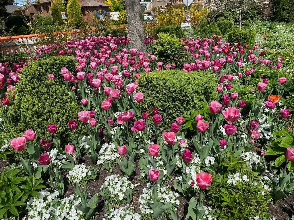 Corbett Gardens : 2025 Garden Extravaganza To Image -68e0b41c84bad