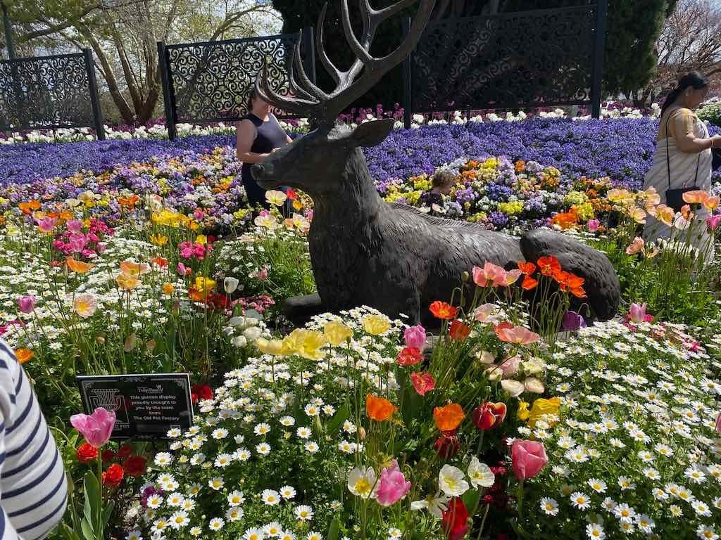 Corbett Gardens : 2025 Garden Extravaganza To Image -68e0b41cc577f