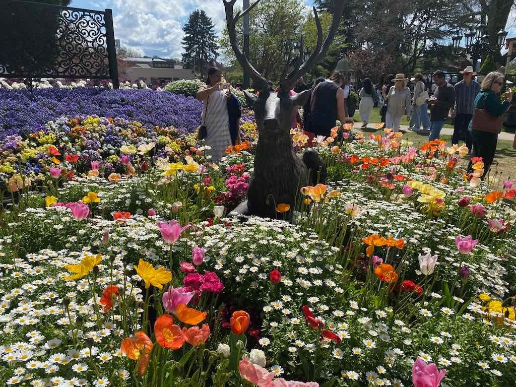 Corbett Gardens : 2025 Garden Extravaganza To Image -68e0b41d2117d