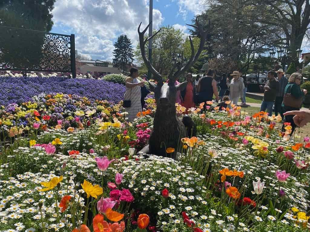 Corbett Gardens : 2025 Garden Extravaganza To Image -68e0b41d67797