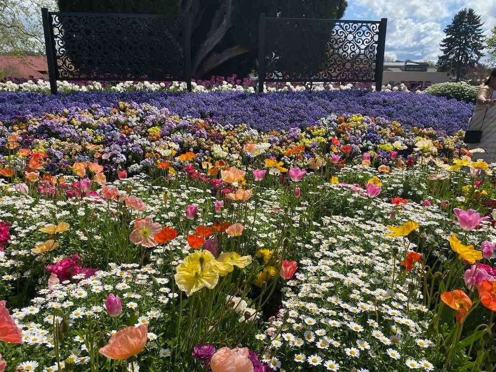 Corbett Gardens : 2025 Garden Extravaganza To Image -68e0b41dab496