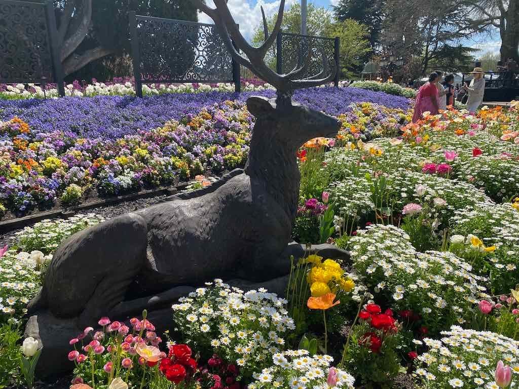Corbett Gardens : 2025 Garden Extravaganza To Image -68e0b41e124b3