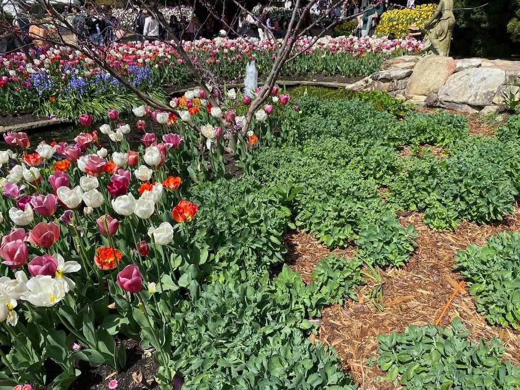 Corbett Gardens : 2025 Garden Extravaganza To Image -68e0b41f0c34f