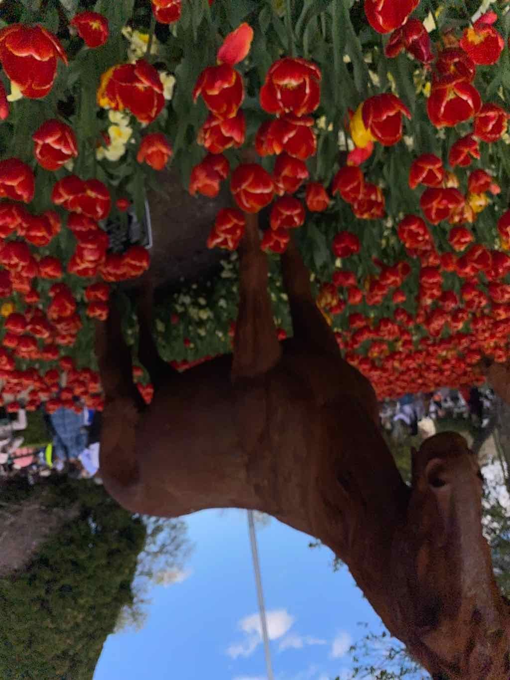 Corbett Gardens : 2025 Garden Extravaganza To Image -68e0b42043762