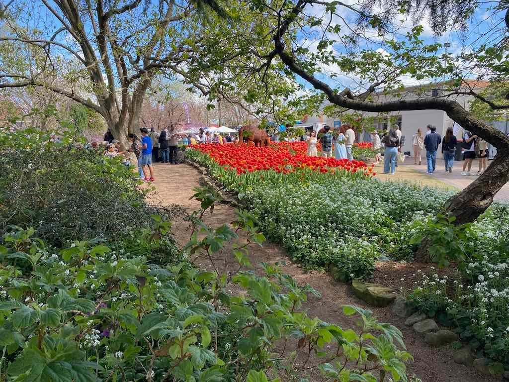 Corbett Gardens : 2025 Garden Extravaganza To Image -68e0b421dd2ea