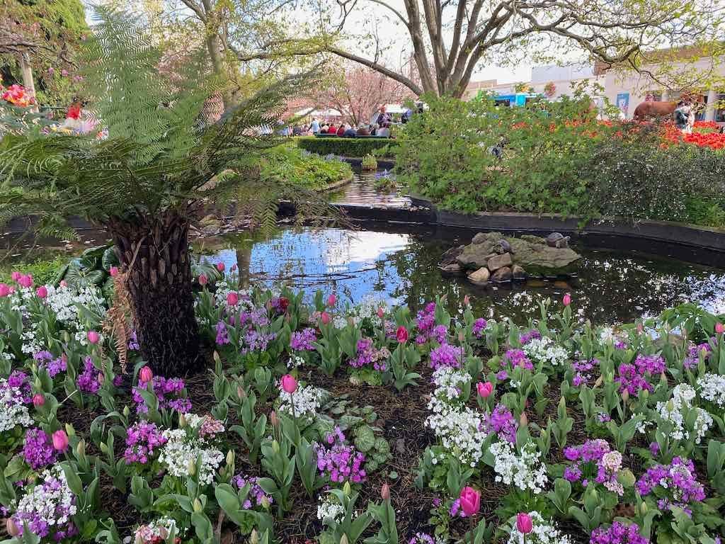 Corbett Gardens : 2025 Garden Extravaganza To Image -68e0b422b0752
