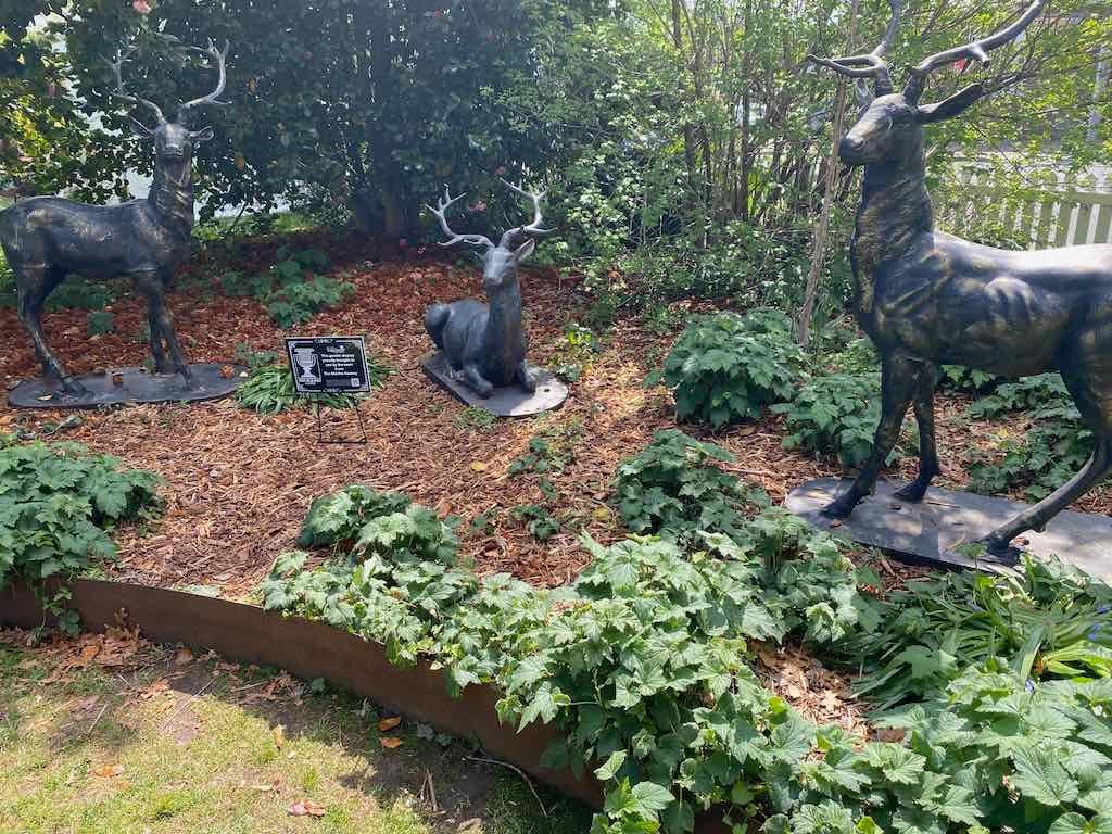 Corbett Gardens : 2025 Garden Extravaganza To Image -68e0b42329386