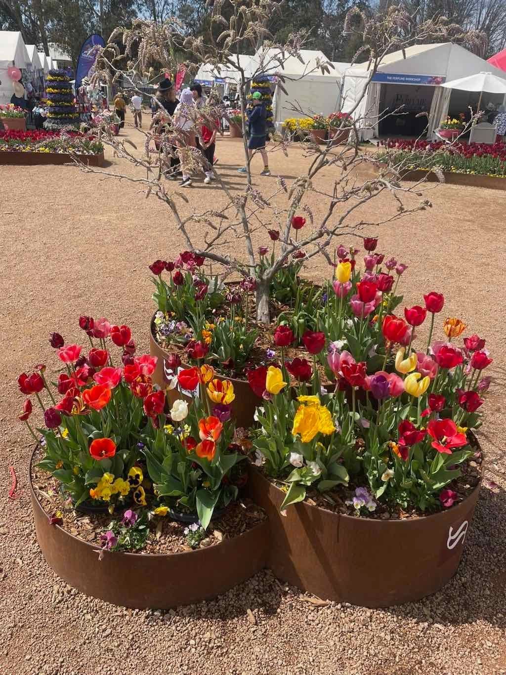 Floriade : 2025 Garden Extravaganza Image -68e0b791b7c08