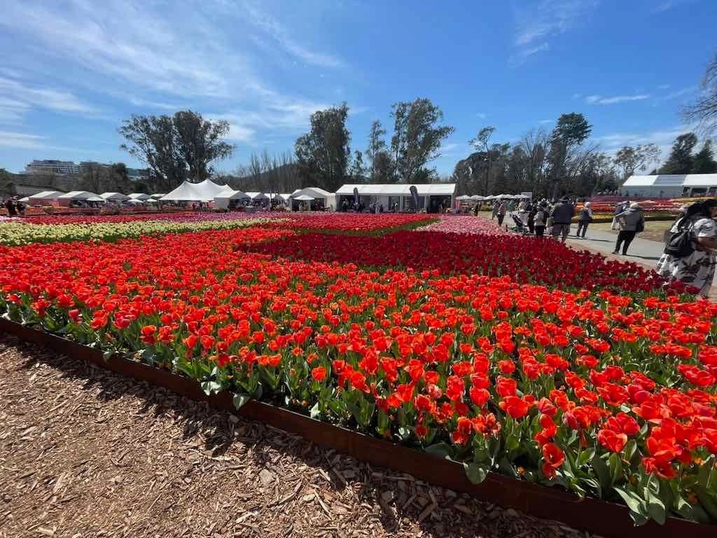 Floriade : 2025 Garden Extravaganza Image -68e0b792503b9