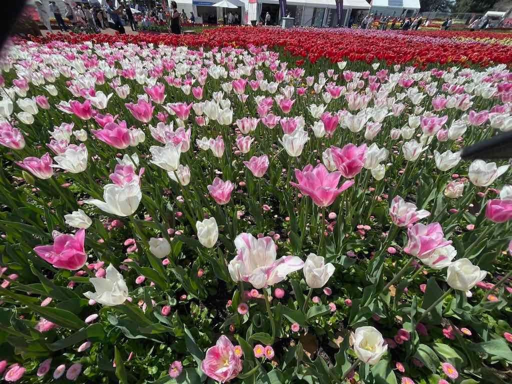 Floriade : 2025 Garden Extravaganza Image -68e0b7929af6d