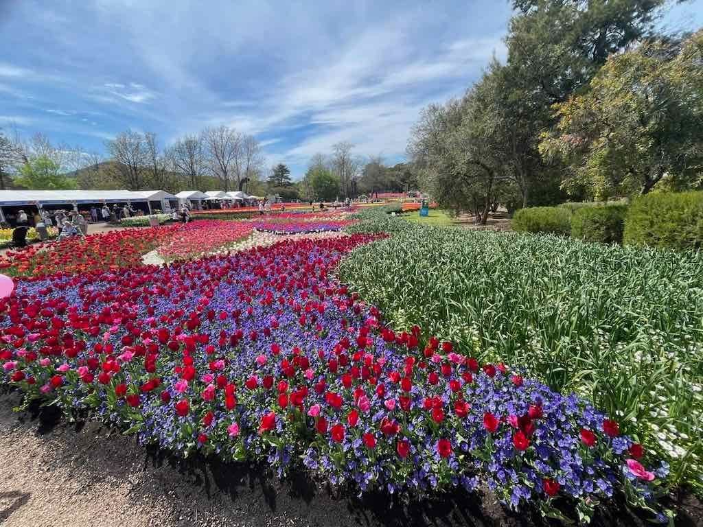 Floriade : 2025 Garden Extravaganza Image -68e0b7946007c