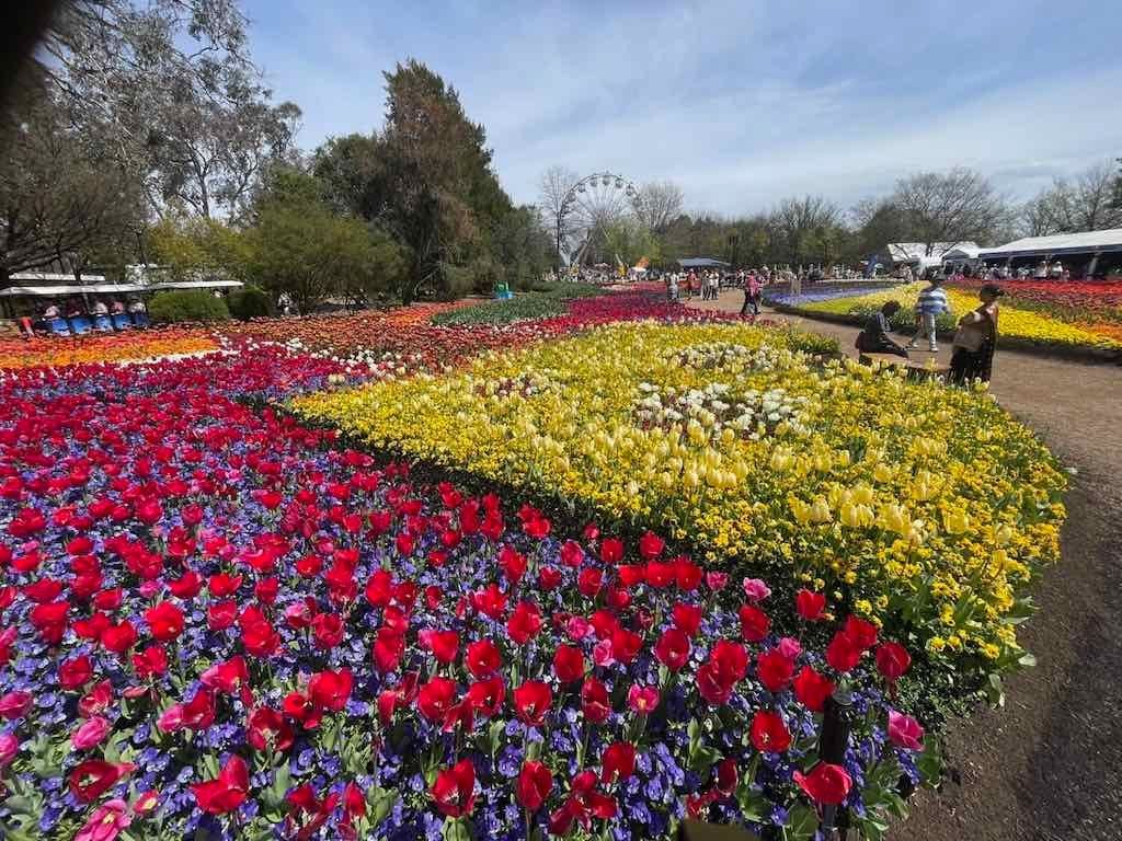 Floriade : 2025 Garden Extravaganza Image -68e0b795e096b