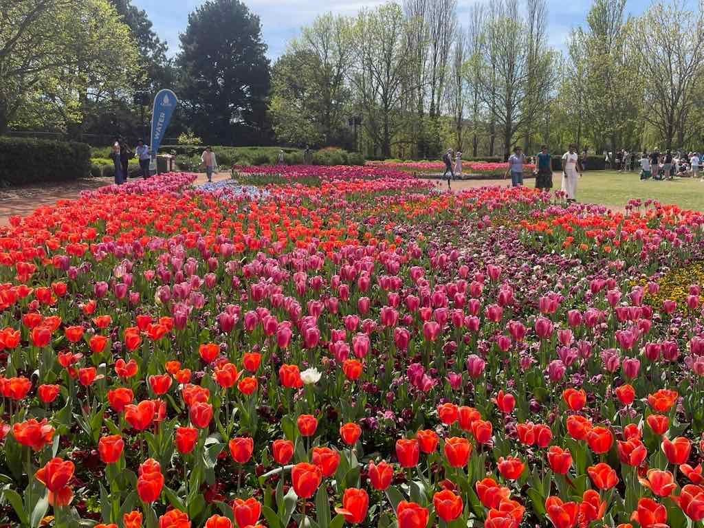 Floriade : 2025 Garden Extravaganza Image -68e0b797c4084