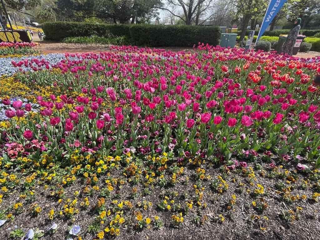 Floriade : 2025 Garden Extravaganza Image -68e0b798160aa