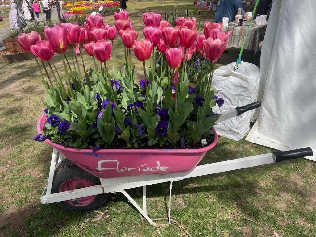 Floriade : 2025 Garden Extravaganza Image -68e0b798a439a