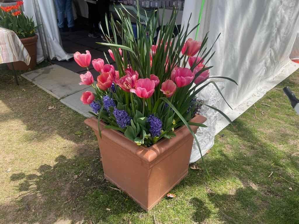 Floriade : 2025 Garden Extravaganza Image -68e0b798e18ca