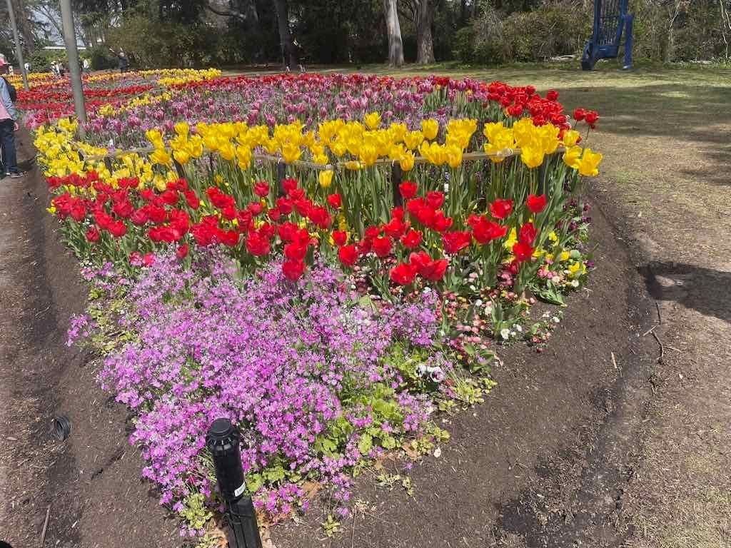 Floriade : 2025 Garden Extravaganza Image -68e0b799318ce