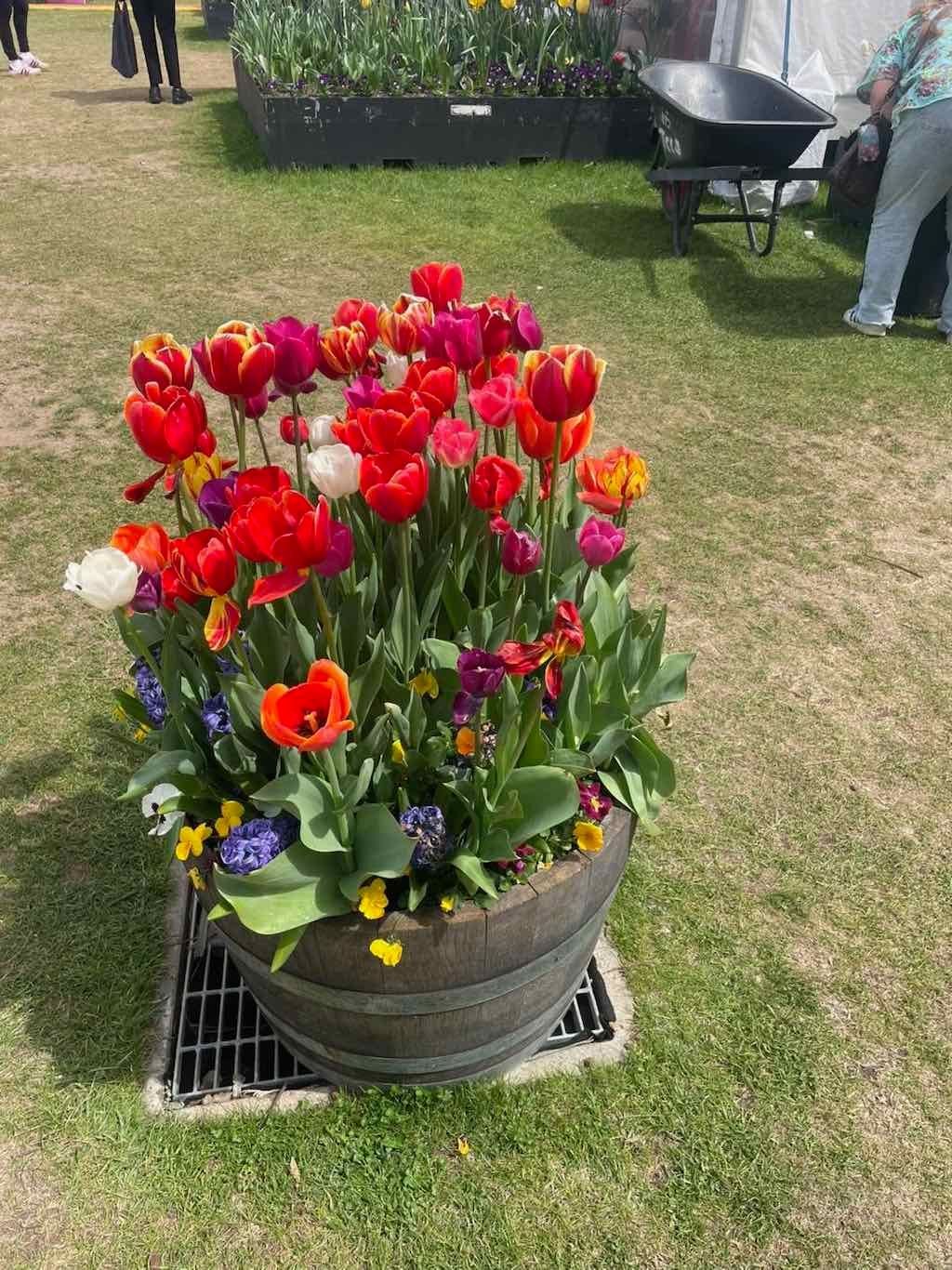 Floriade : 2025 Garden Extravaganza Image -68e0b79a6443a