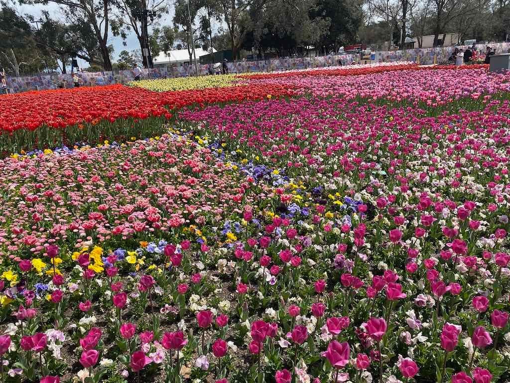 Floriade : 2025 Garden Extravaganza Image -68e0b8f7cbbd5