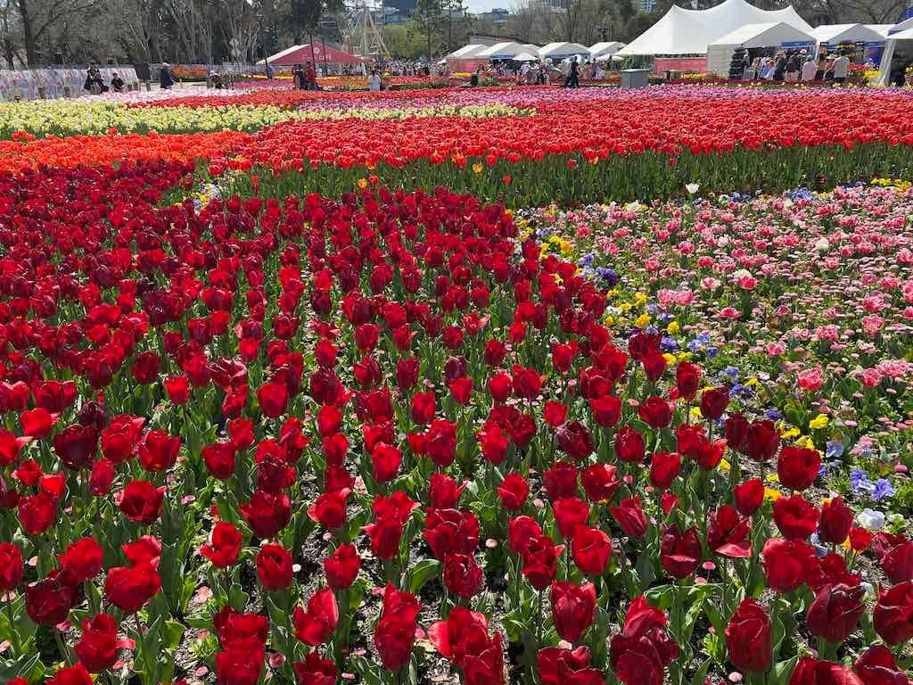Floriade : 2025 Garden Extravaganza Image -68e0b8f8b3388