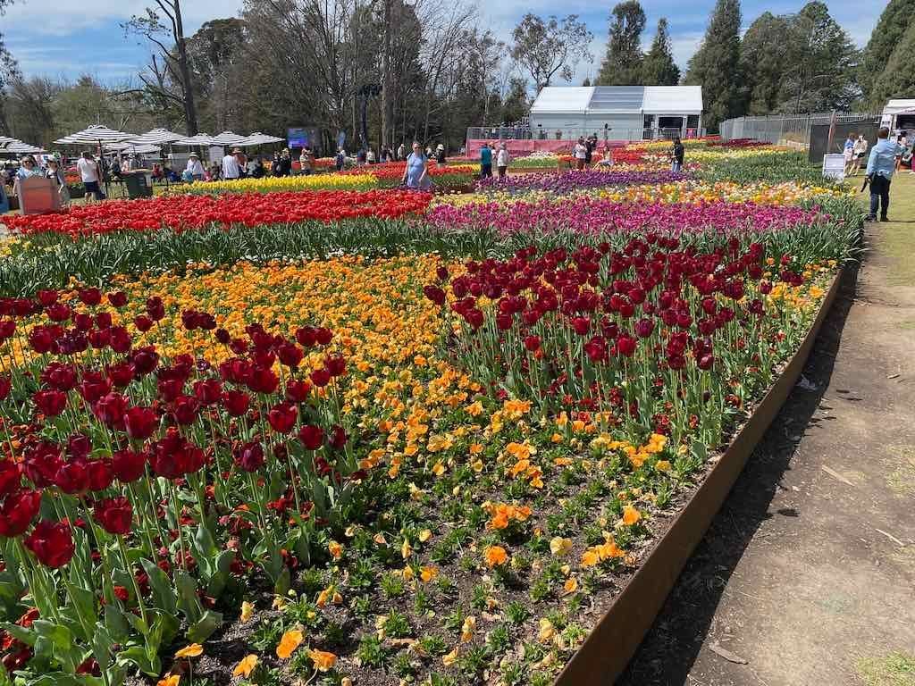 Tulip Tops : Garden Extravaganza Tour 2025 Image -68e0bc34ba0fe