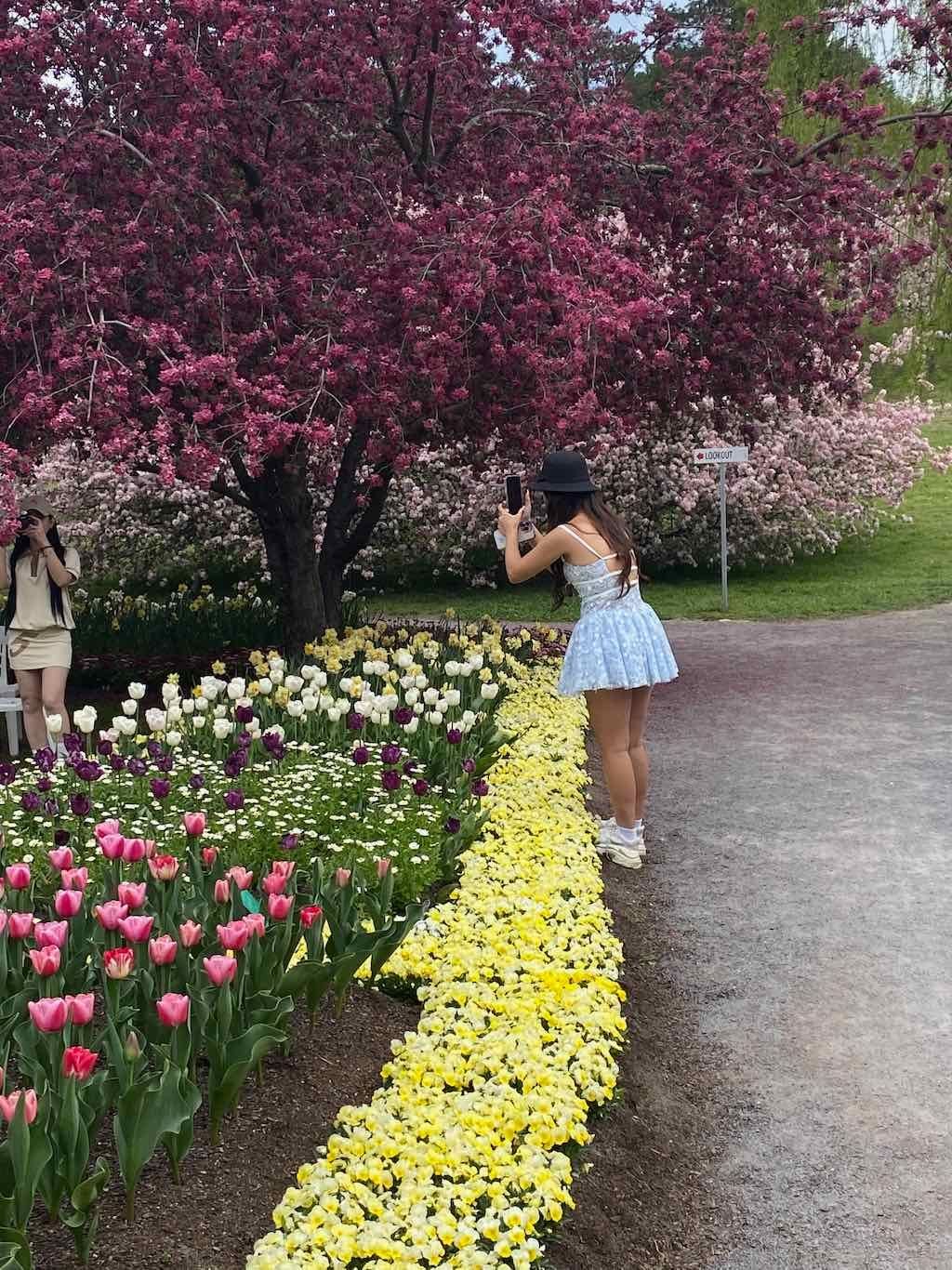 Tulip Tops : Garden Extravaganza Tour 2025 Image -68e0bc35f2c47