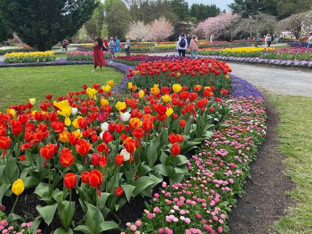 Tulip Tops : Garden Extravaganza Tour 2025 Image -68e0bc373323a