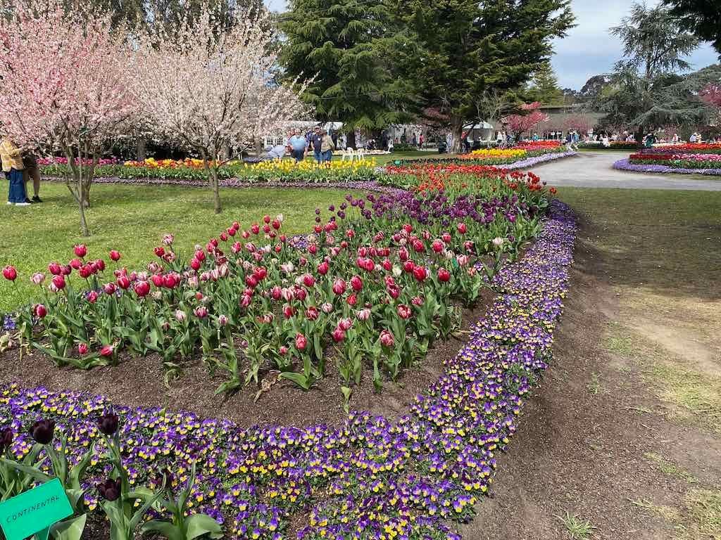 Tulip Tops : Garden Extravaganza Tour 2025 Image -68e0bc3a44439