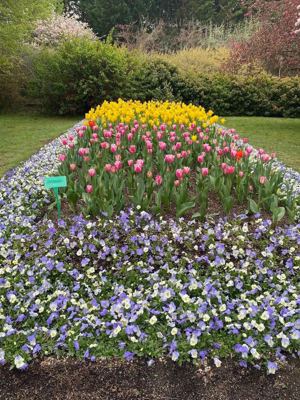 Tulip Tops : Garden Extravaganza Tour 2025 Image -68e0bc3b2bb1a
