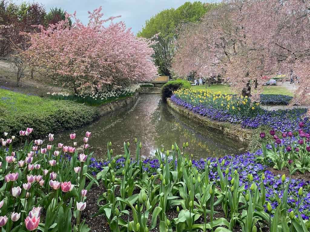 Tulip Tops : Garden Extravaganza Tour 2025 Image -68e0bc3dd27bb