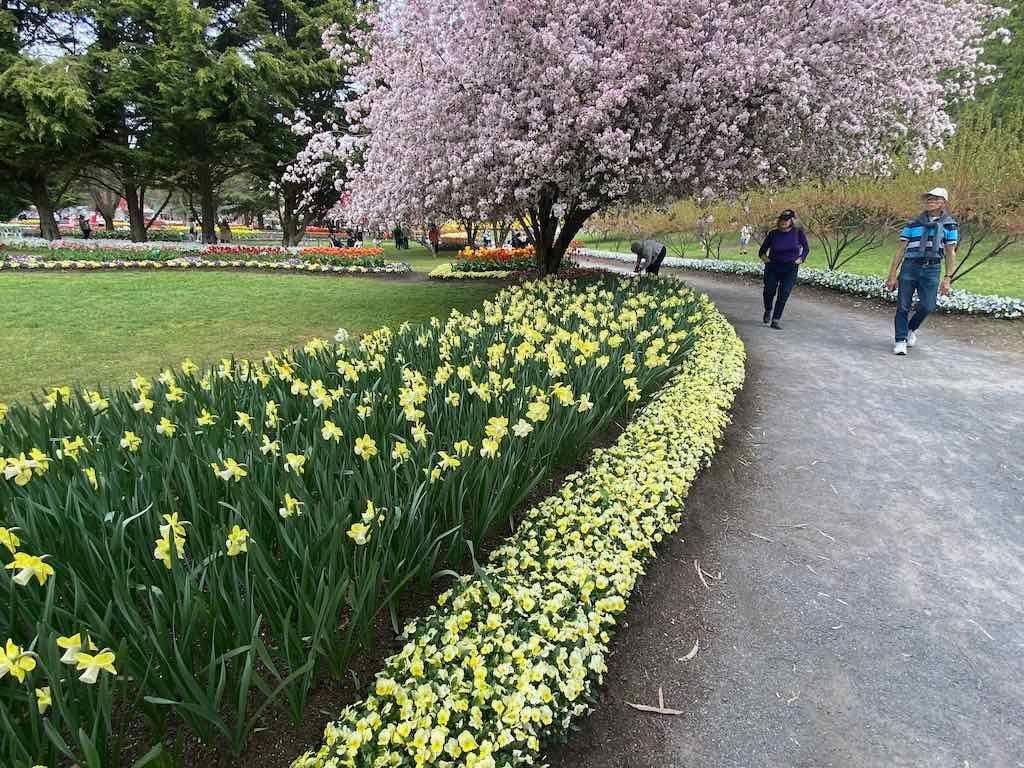 Tulip Tops : Garden Extravaganza Tour 2025 Image -68e0bc401f260