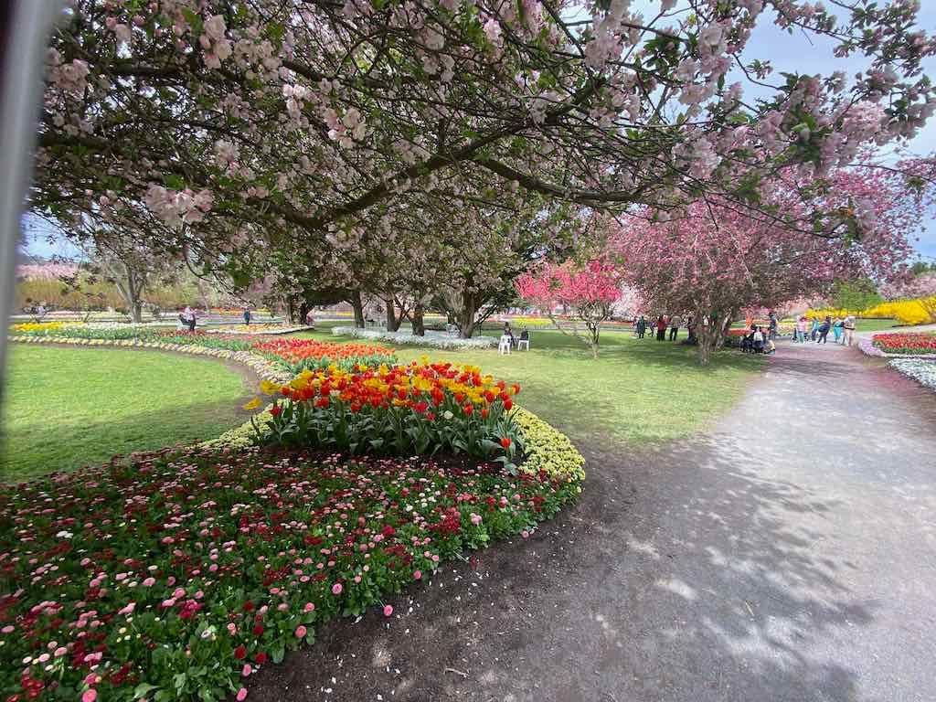 Tulip Tops : Garden Extravaganza Tour 2025 Image -68e0bc40706fc