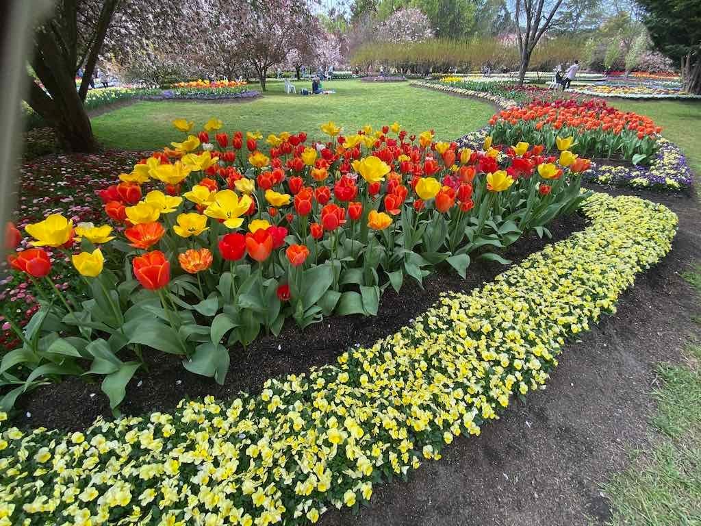 Tulip Tops : Garden Extravaganza Tour 2025 Image -68e0bc40b3cc0