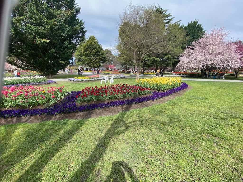 Tulip Tops : Garden Extravaganza Tour 2025 Image -68e0bc419fbeb
