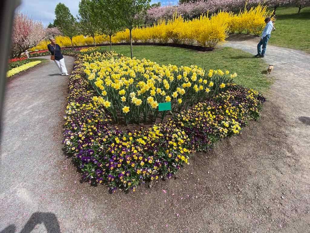 Tulip Tops : Garden Extravaganza Tour 2025 Image -68e0bc41e7a46