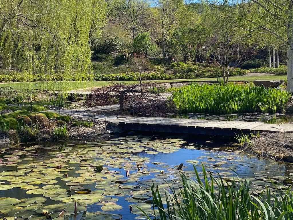 Mayfield Gardens : 2025 Garden Extravaganza Tour Image -68e0bfc8572fb