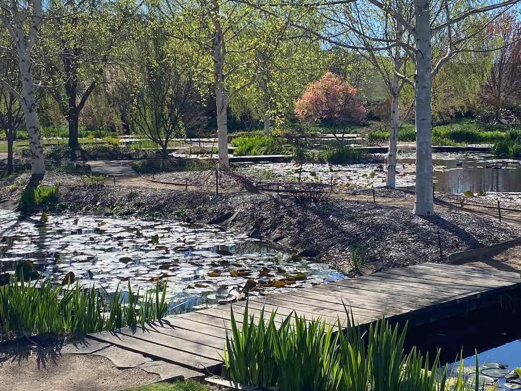 Mayfield Gardens : 2025 Garden Extravaganza Tour Image -68e0bfc94e9e9