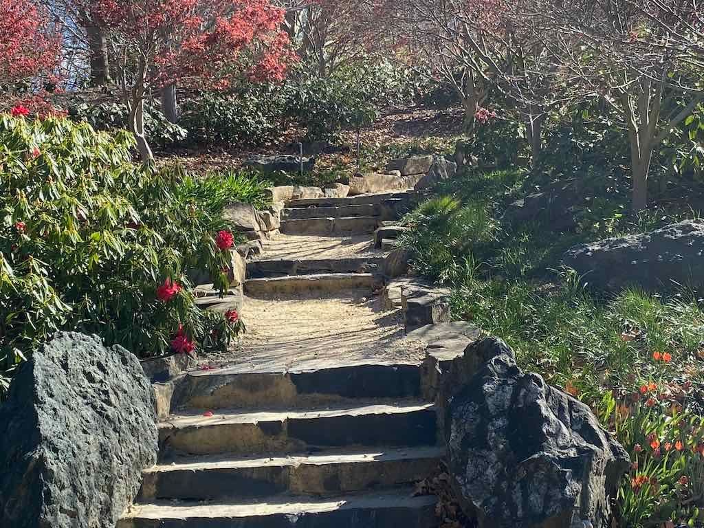 Mayfield Gardens : 2025 Garden Extravaganza Tour Image -68e0bfc99e50a