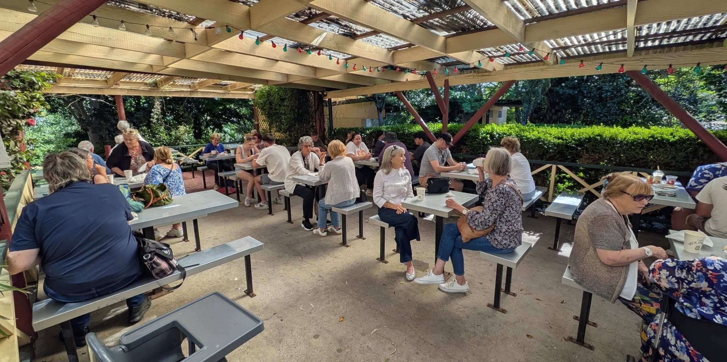 Friday 10th October 2025 : Public Day Tour Zig Zag Railway Image -68eb04eb54fb9