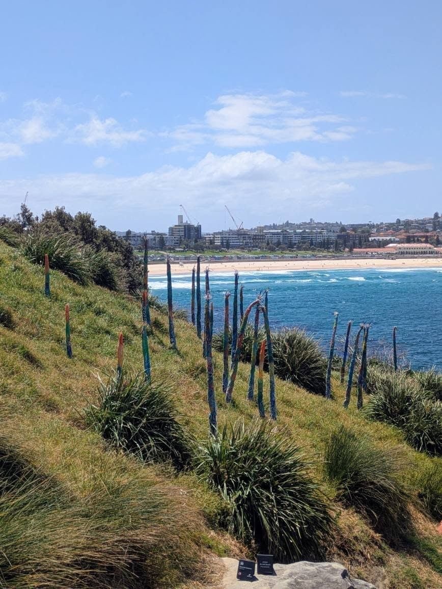 Thursday, 23rd October 2025 Public Day to Sculptures by the Sea Image -68fafb0a2097c
