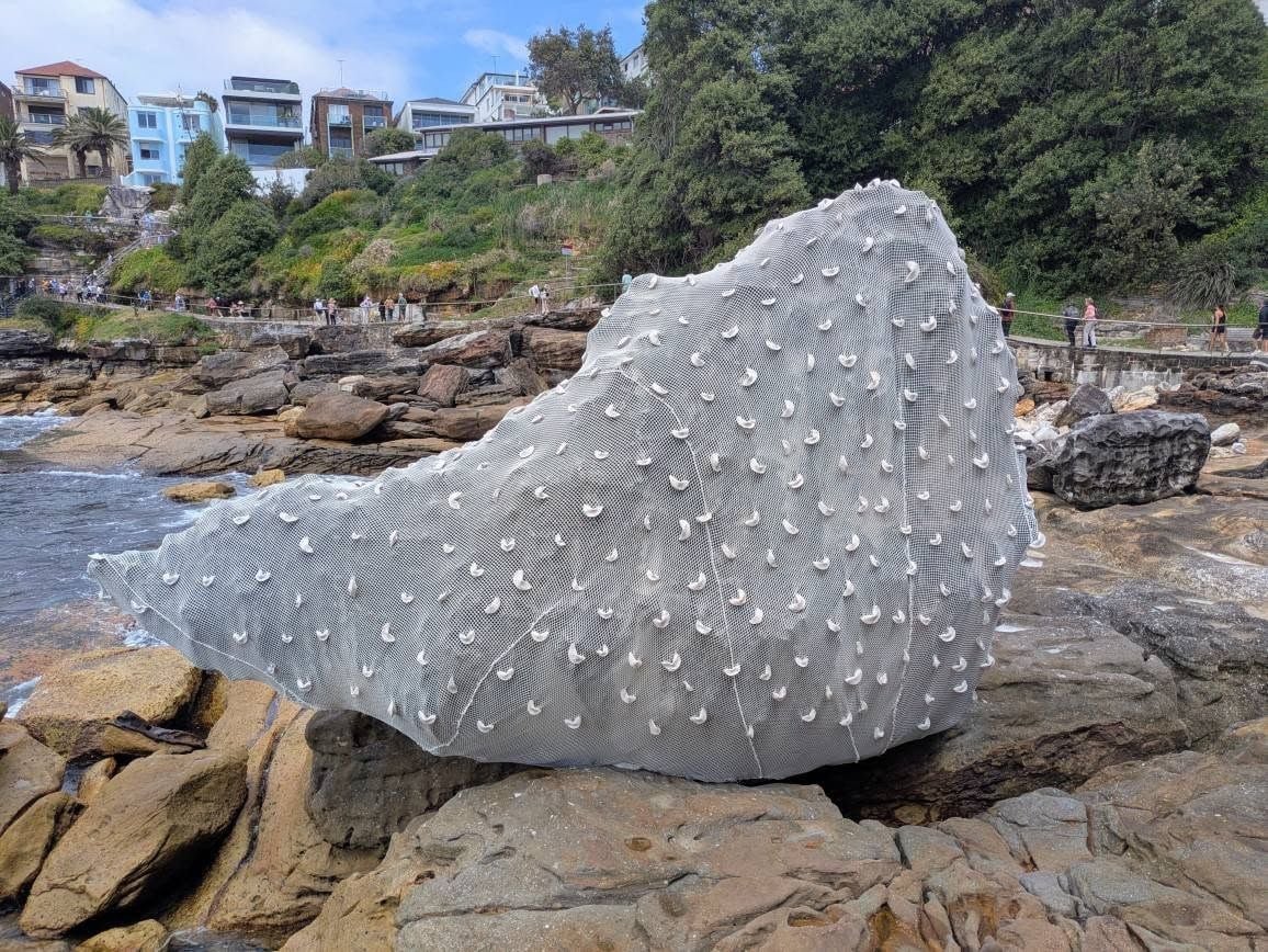Thursday, 23rd October 2025 Public Day to Sculptures by the Sea Image -68fafb125e259