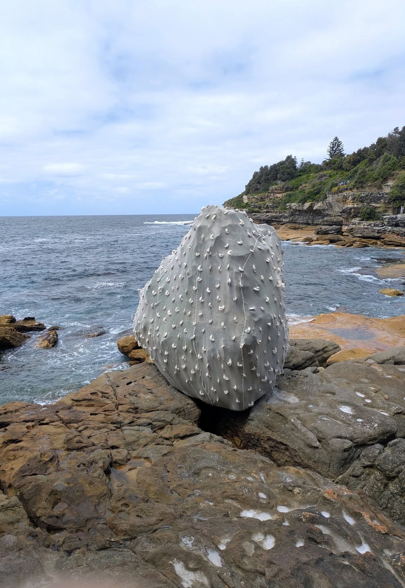 Thursday, 23rd October 2025 Public Day to Sculptures by the Sea Image -68fafb158c96a